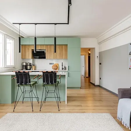 Recently Renovated Designer 2 Bedroom 公寓 伊斯坦布尔